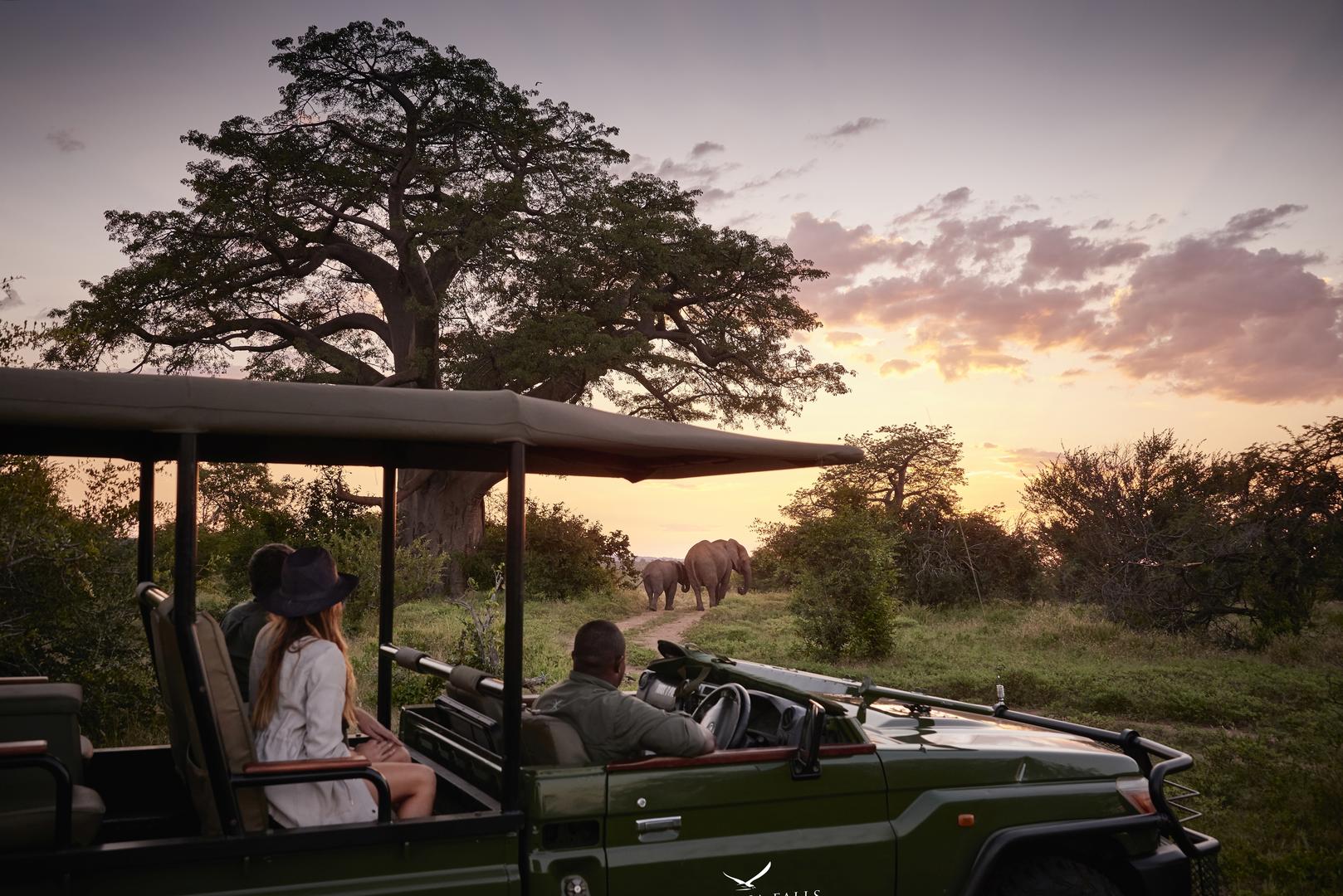 12 Days African Bush & Beach Safari - Sabi Sands Lodges Reservation 77 Victoria Falls River Lodge Zambezi National Park Zimbabwe 9