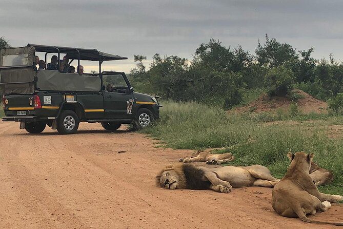 4 Day Kruger National Park Camping Safari - Kruger National Park Rest Camp 79 kruger national park game drive
