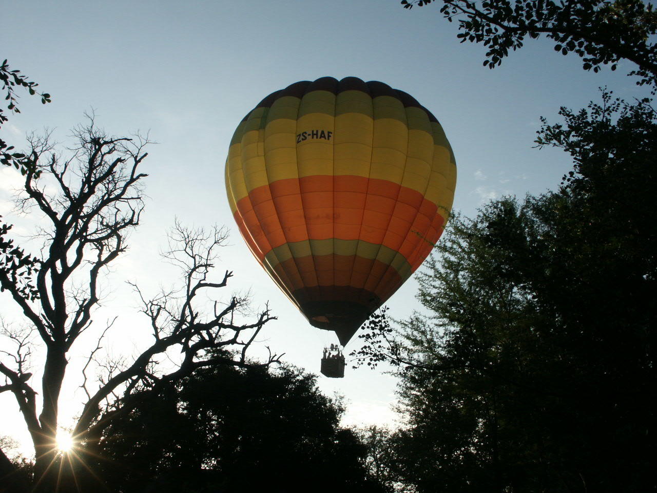 Luxury African Safari Special Offers (January–June 2026) 15 thornybush game lodge latest images sabisandslodges reservations (81)