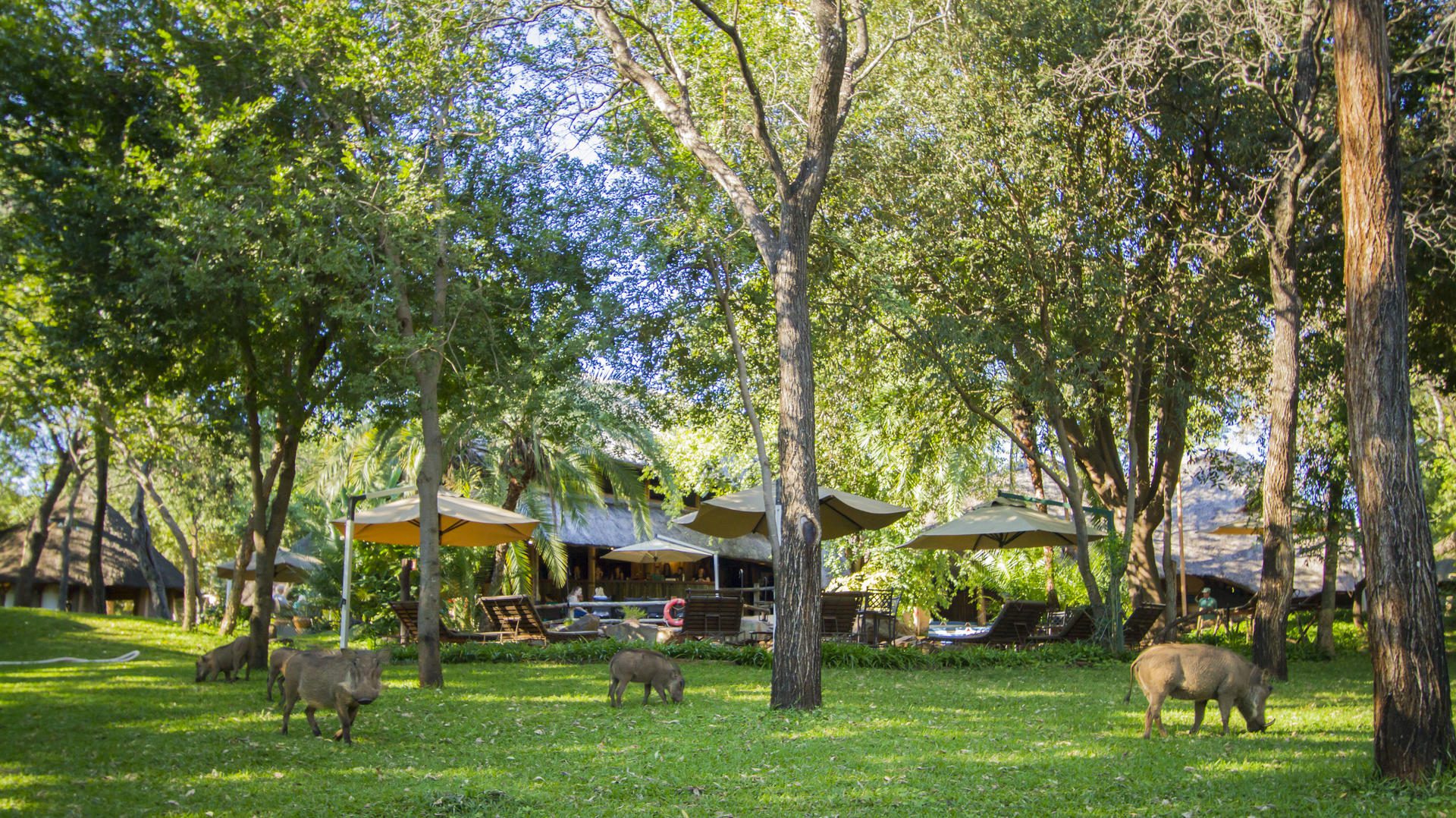 3 day victoria falls tour safari budget (3)