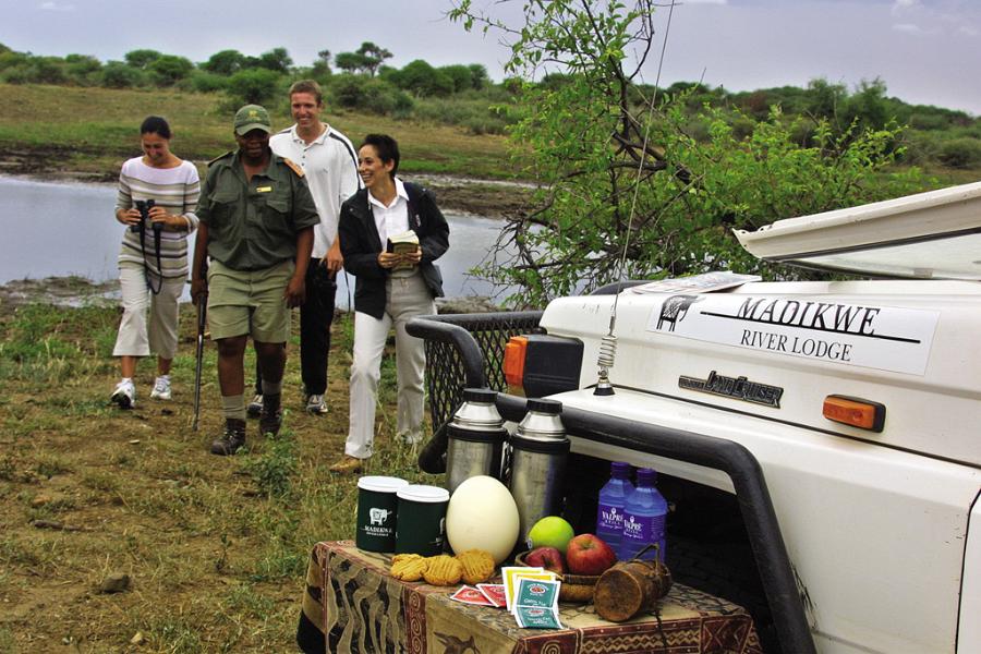 Madikwe River Lodge Game drive