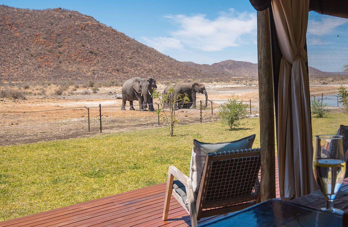 TAU GAME LODGE ELEPHANTS