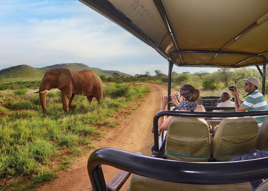game drive in madikwe river lodge