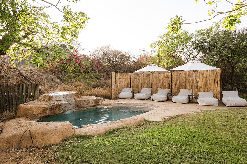 LastWordMadikweGardenandPool22