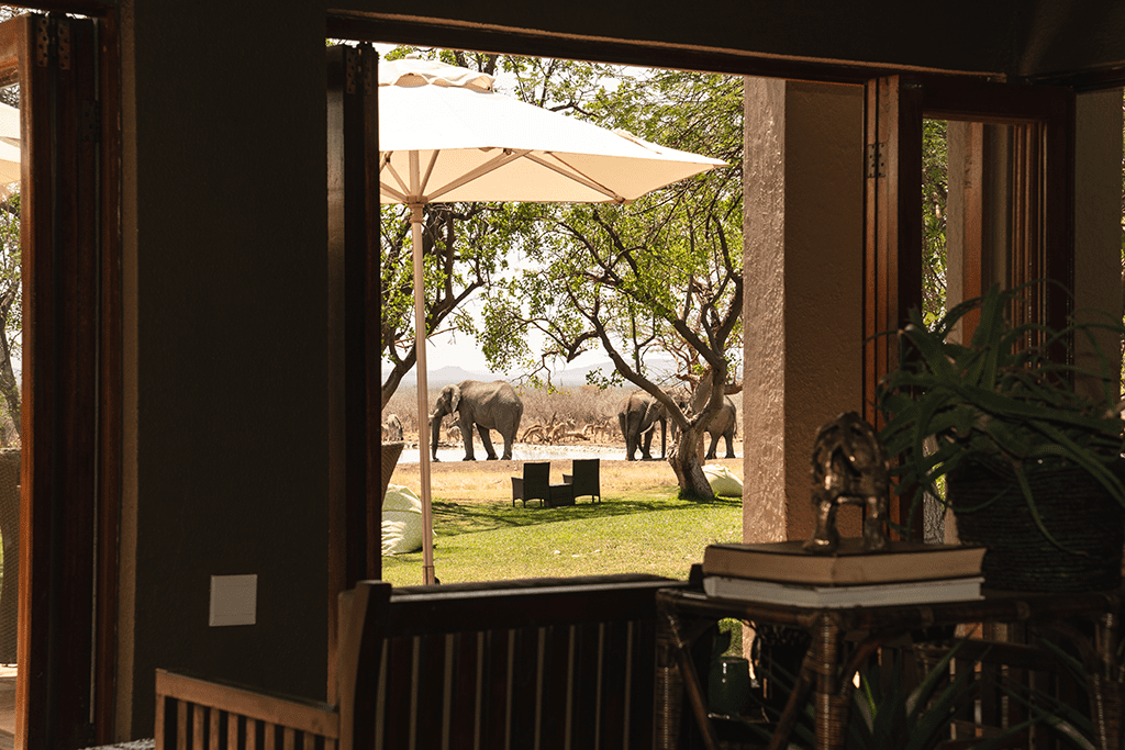 LastWordMadikweLoungesandBar6