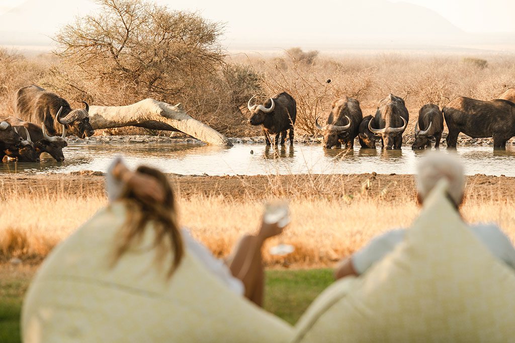 LastWordMadikweWaterhole1