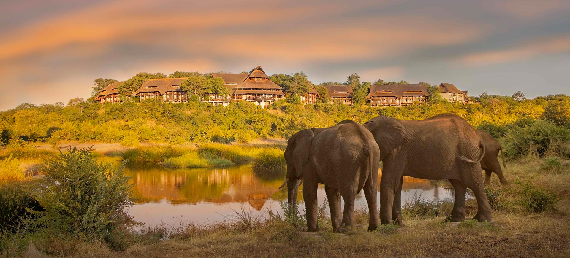 12 Day Cape Town, Sabi Sands Safari & Victoria Falls Tour - Sabi Sands Lodges Reservation 140 Safari Lodge Victoria Falls Zimbabwe