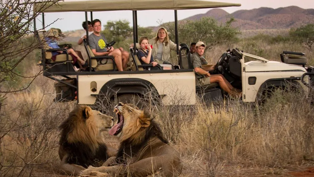Tswalu Kalahari Reserve lions