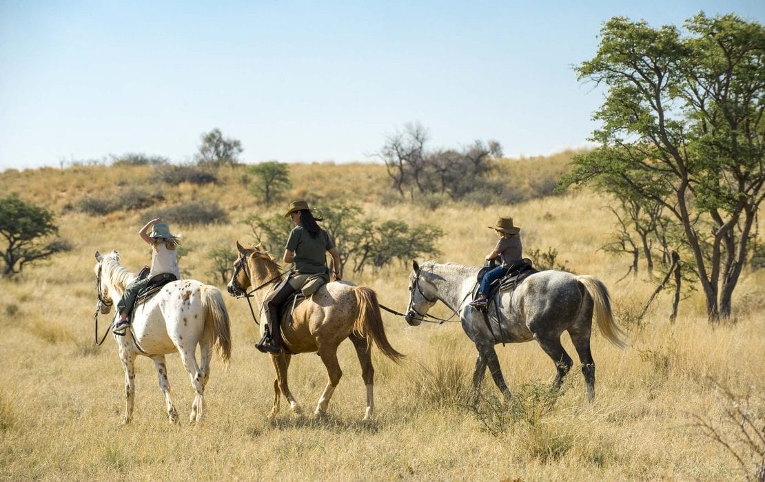 tswalu game reserve horse back riding