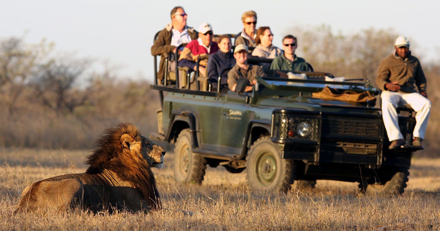 What You'll Really See on a Sabi Sand Game Drive 6 safari game drive savanna lodge sabi sands