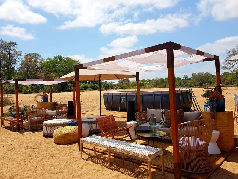 Kruger National Park Lodges: Luxury vs Budget Options 41 satara tshokwane kruger untamed (19)