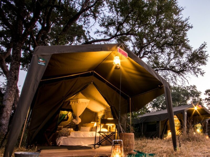 Kruger National Park Lodges: Luxury vs Budget Options 33 satara tshokwane kruger untamed (46)