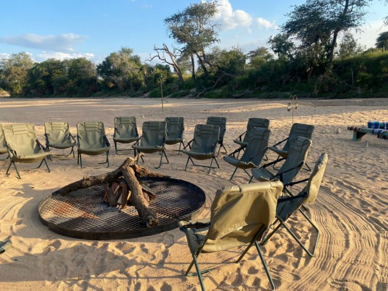 Kruger National Park Lodges: Luxury vs Budget Options 38 satara tshokwane kruger untamed (55)