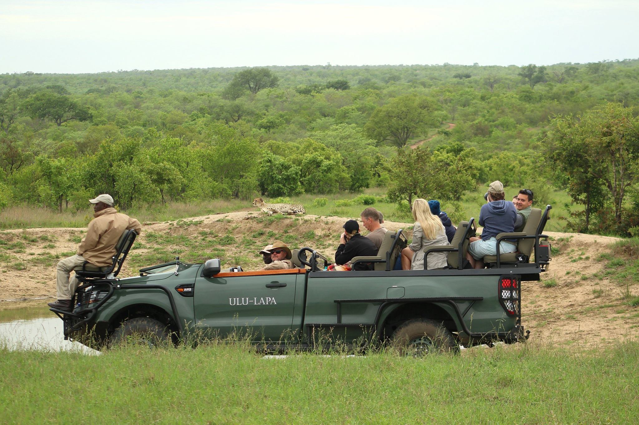 What You'll Really See on a Sabi Sand Game Drive 4 ululapa safari game drive vehicle cheetah sabi sand