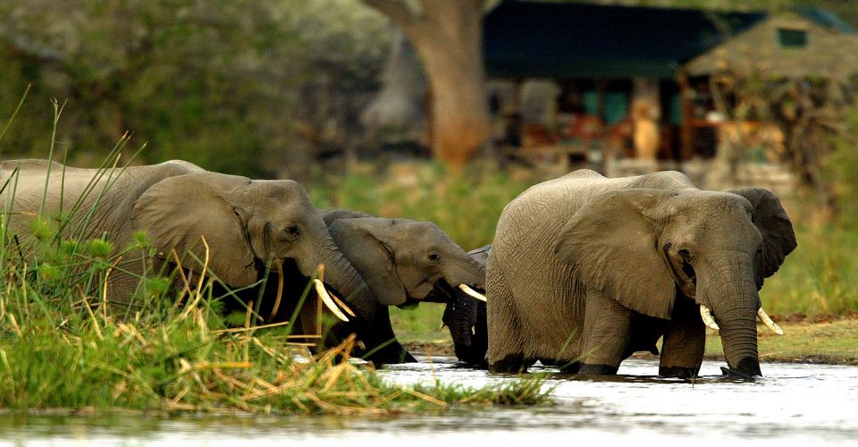 3 Day Malaria Free Safari - Pilanesberg National Park 1 Game drives3 pilanesburg