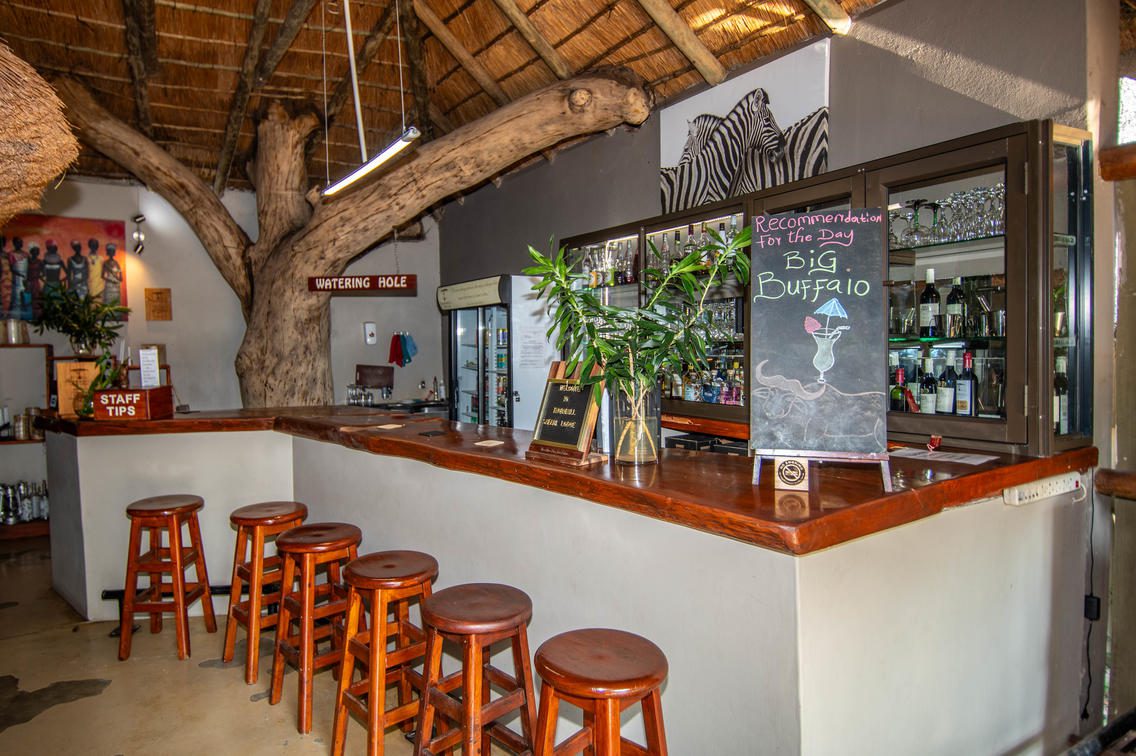 5 Day Kruger Park Vintage Safari- Sabi Sands Lodges Reservation 60 Thornhill Safari Lodge bar