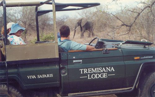 3 Day Affordable Private Kruger Safari - Sabi Sands Lodges Reservation 60 Tremisana Game Lodge safari