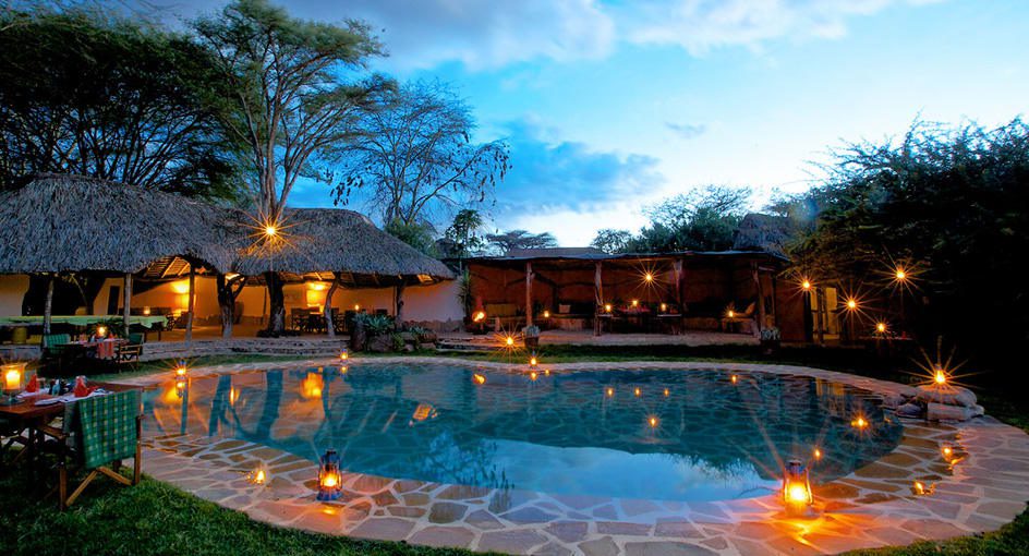 10 Day Highlights of Kenya Fly-In Luxury Safari - Sabi Sands Lodges Reservations 4 01 elewana lewa safari camp Lewa Wildlife Conservancy kenya