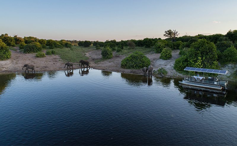 16 Day Southern Africa - The perfect holiday for couples & families 202 Chobe Riverfront River8