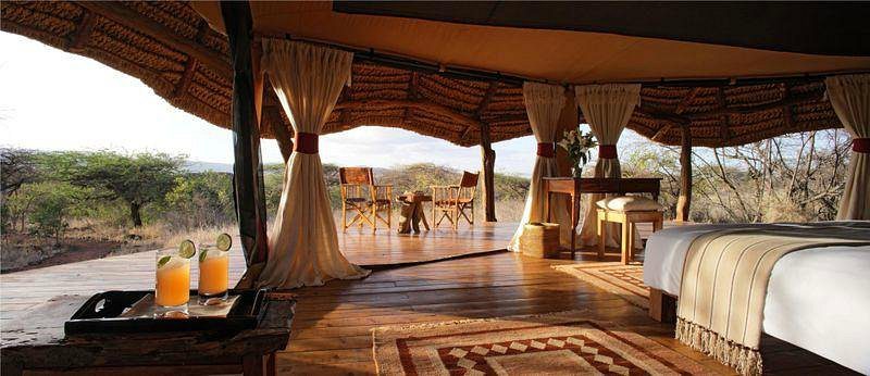 10 Day Highlights of Kenya Fly-In Luxury Safari - Sabi Sands Lodges Reservations 79 ELEWANA LEWA SAFARI CAMP lewa wildlife conservancy keya