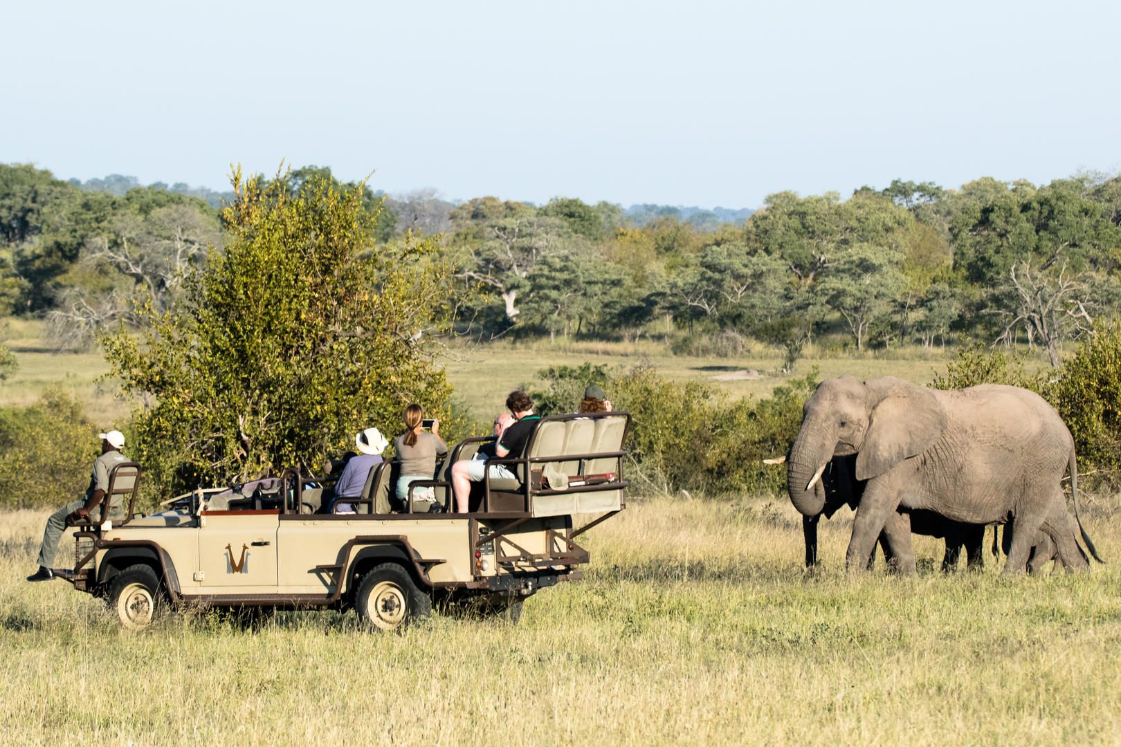 Chitwa Chitwa Game Lodge - Sabi Sand Private Game Reserve - Sabi Sands Lodges Reservations 42 Elephant introduction
