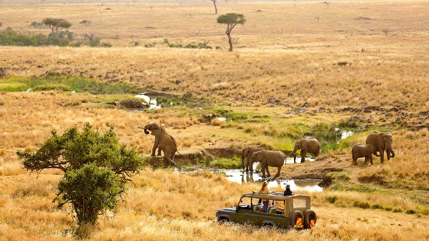10 Day Highlights of Kenya Fly-In Luxury Safari - Sabi Sands Lodges Reservations 83 Elewana Kifaru Lewa Wildlife Conservancy