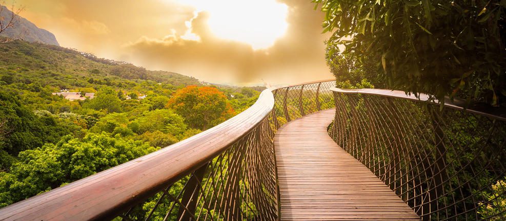 17 Day African Luxury Safari - The Essence of Southern Africa Travel 75 Kirstenbosch Gardens