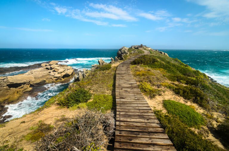 9 Day Self Drive Cape Town, Garden Route & Malaria Free Safari - South Africa 97 Robberg Nature Reserve Garden ROute