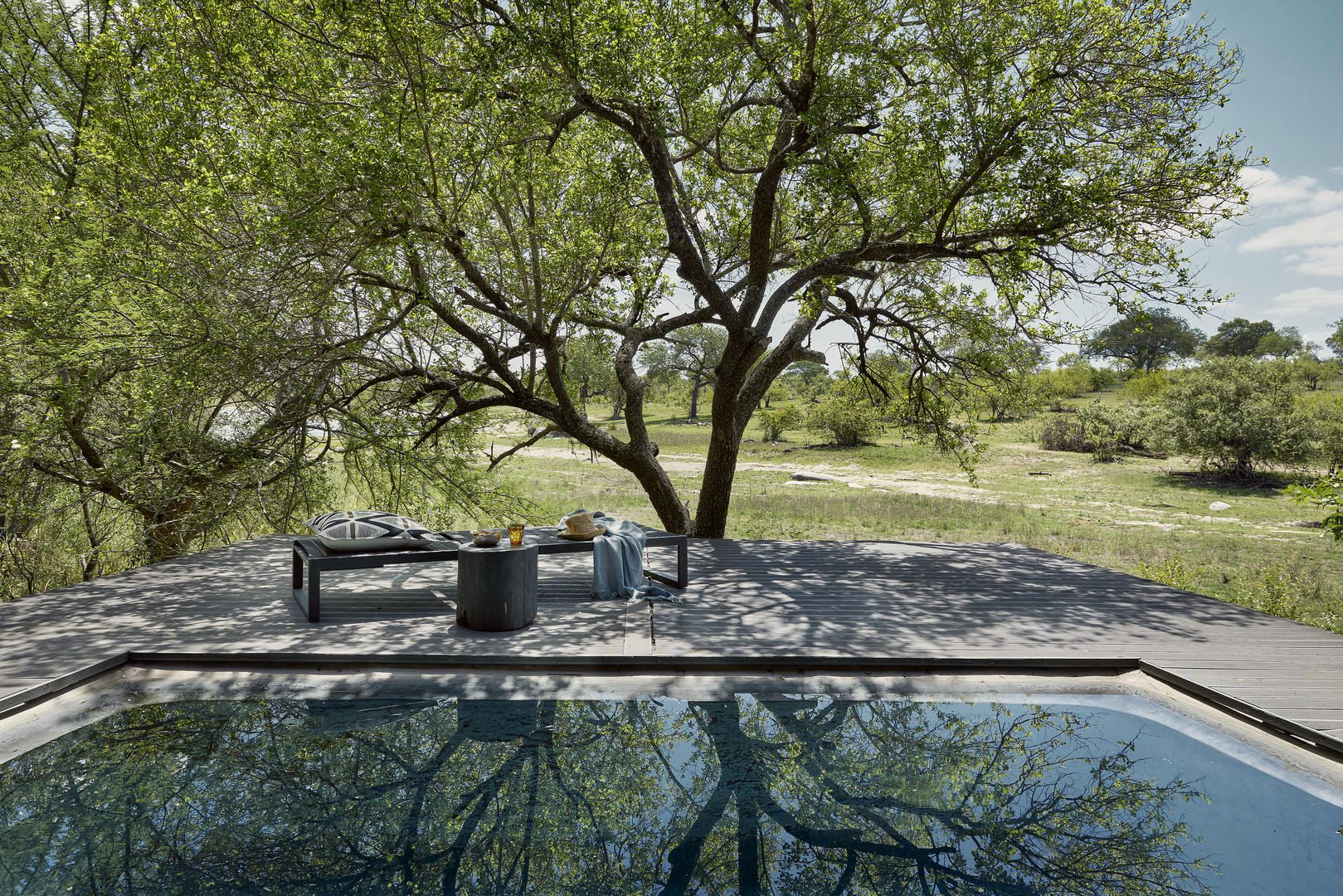 Chitwa Chitwa Game Lodge - Sabi Sand Private Game Reserve - Sabi Sands Lodges Reservations 55 Views from suite
