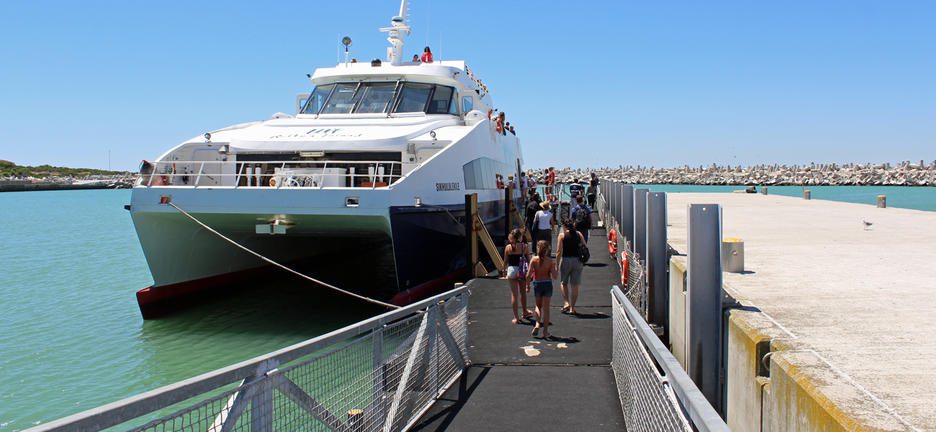 17 Day African Luxury Safari - The Essence of Southern Africa Travel 76 robben island tour 9