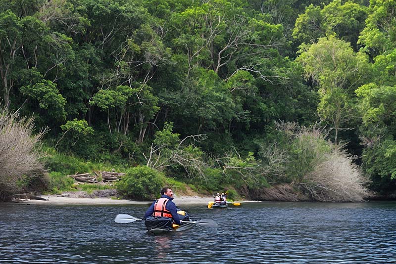 The Best of The garden Route - 4 Day Guided Tour - Cape Town Tour 111 xl
