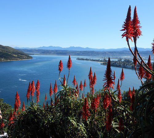 The Best of The garden Route - 4 Day Guided Tour - Cape Town Tour 92 Outeniqua Mountains knysna