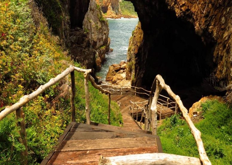 The Best of The garden Route - 4 Day Guided Tour - Cape Town Tour 113 eatherbed Nature Reserve mossel bay