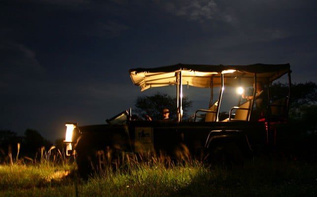 What You'll Really See on a Sabi Sand Game Drive 15 night drive safari sabi sanf
