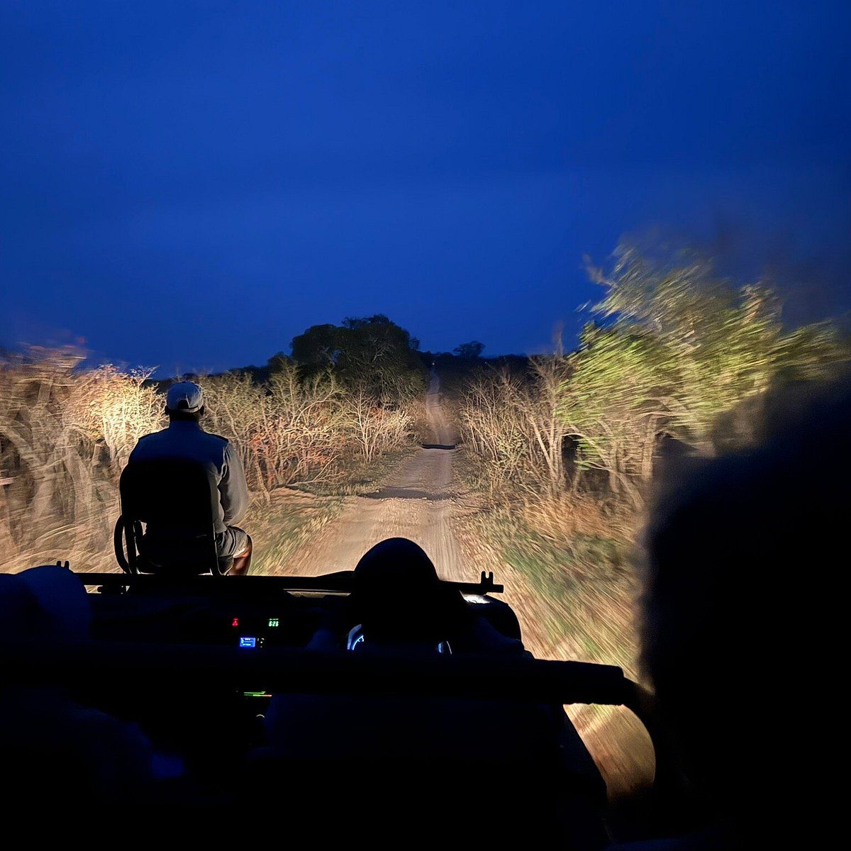 What You'll Really See on a Sabi Sand Game Drive 14 sabi sand lodges game drive at night