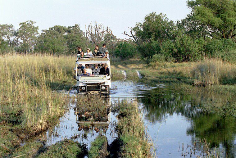 What You'll Really See on a Sabi Sand Game Drive 13 sabi sand off road game drive