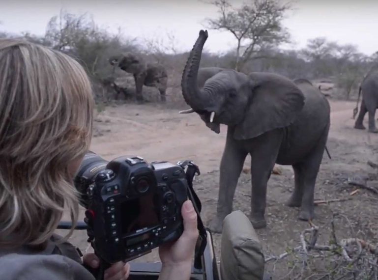 What You'll Really See on a Sabi Sand Game Drive 84 sabi sand photographer camera