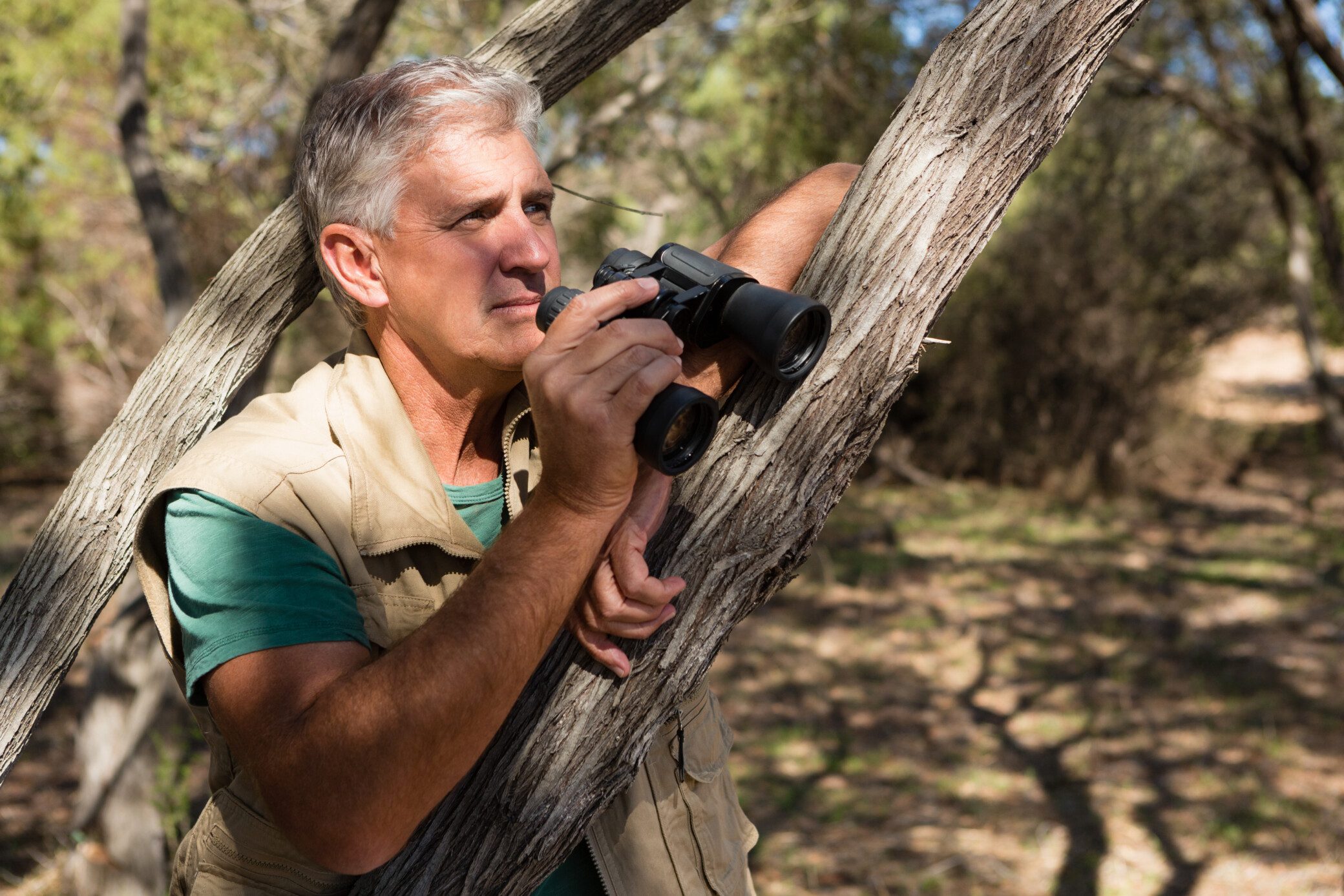What You'll Really See on a Sabi Sand Game Drive 87 Mature man with binocular standing by tree at forest