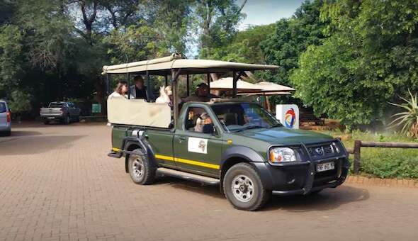 Kruger National Park Lodges: Luxury vs Budget Options 50 crocodile bridge camp game drive kruger national park