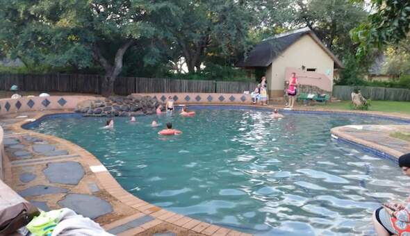Kruger National Park Lodges: Luxury vs Budget Options 46 lower sabie rest camp pool kruger national park