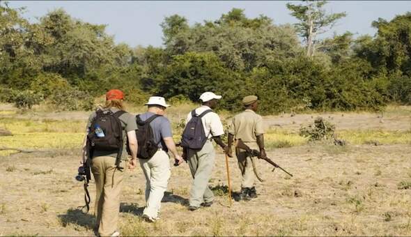 Kruger National Park Lodges: Luxury vs Budget Options 45 lower sabierest camp guided walk kruger national park