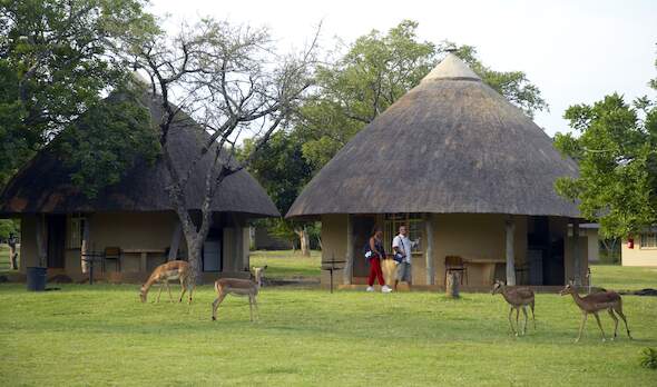 Kruger National Park Lodges: Luxury vs Budget Options 42 pretoriuskop bungalows kruger national park