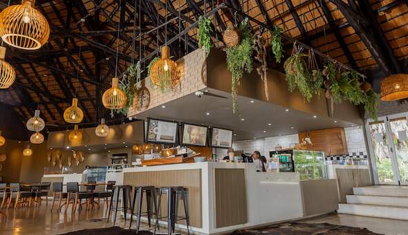 Kruger National Park Lodges: Luxury vs Budget Options 48 tindlovo letaba rest camp restaurant kruger national park