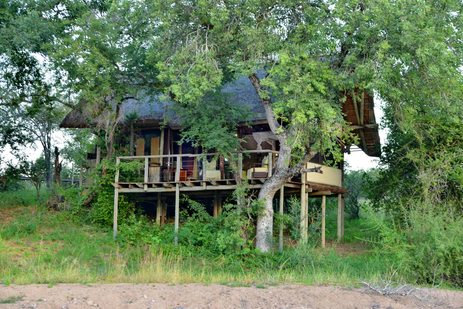 Kruger National Park luxury lodges, worth it or not in 2025? 5 seolo africa rhino post safari lodge bush suites