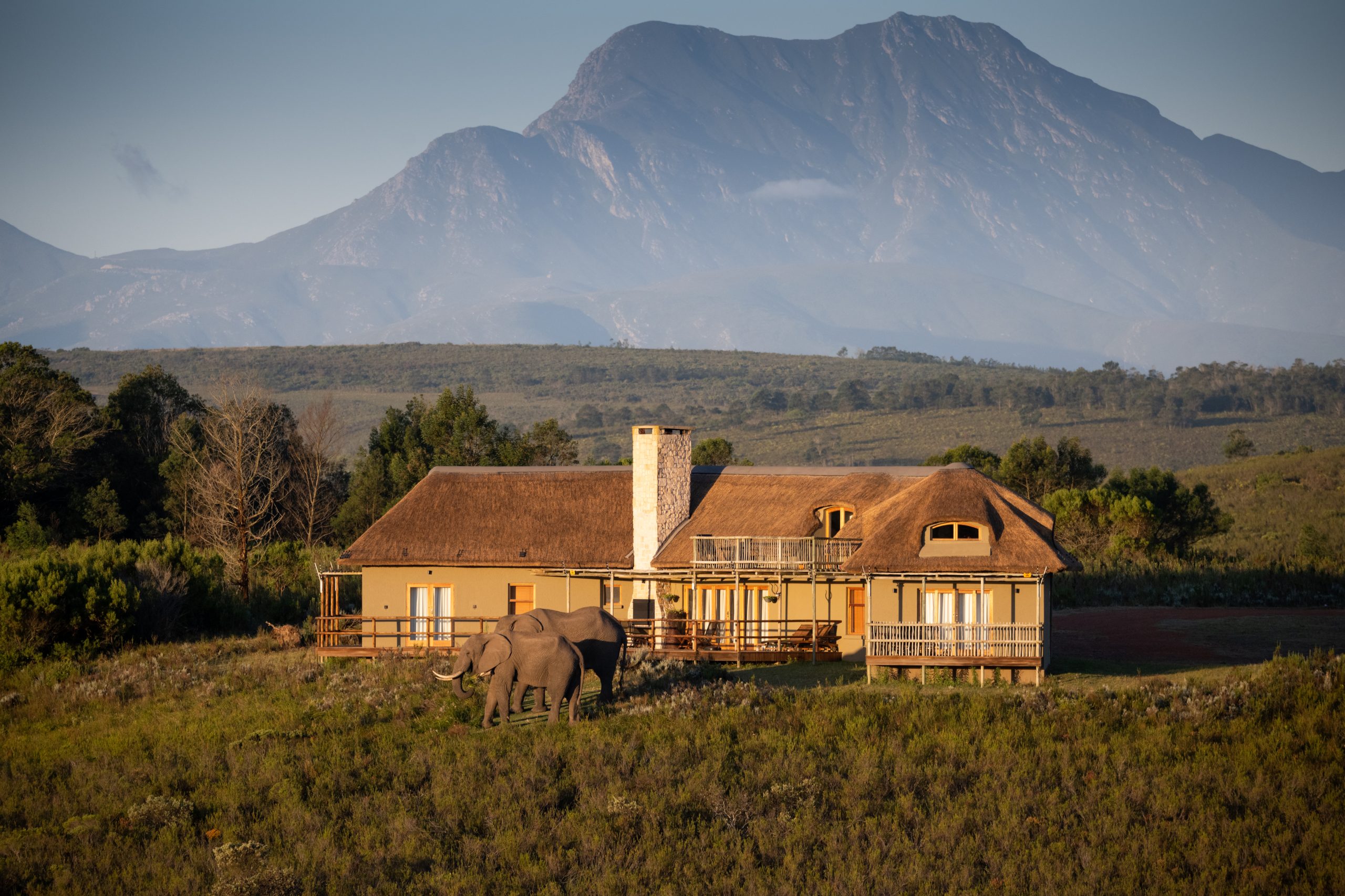 Gondwana Game Reserve - South Africa 40 Kwena Lodge Villa Vista DSC