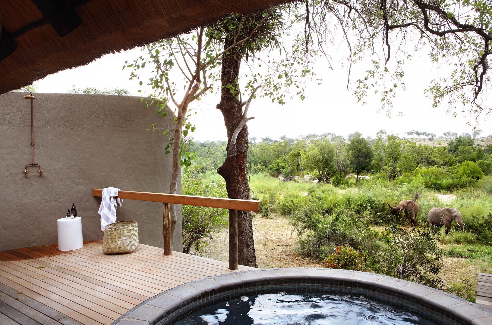 Varty Camp at Londolozi - Sabi Sands - Kruger National Park 4 varty suite
