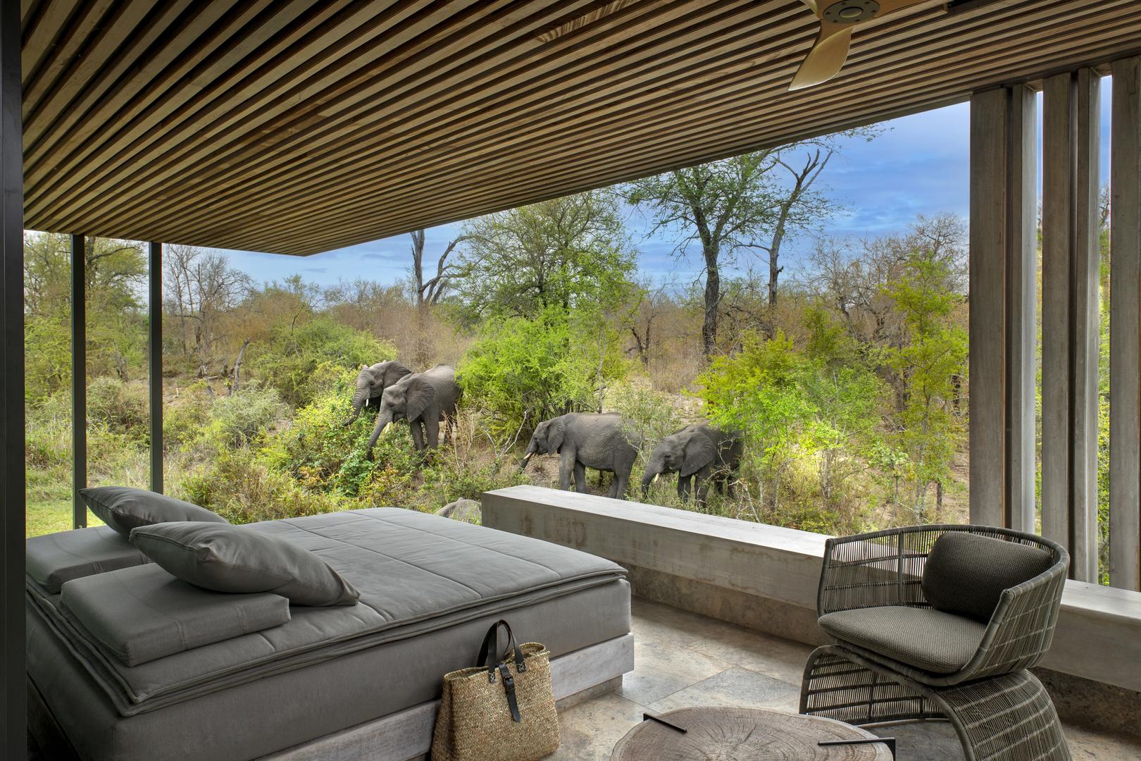 Cheetah Plains Safari Lodge - Sabi Sands Lodges Reservations - Sabi Sands Game Reserve 81 Karula Suite Four