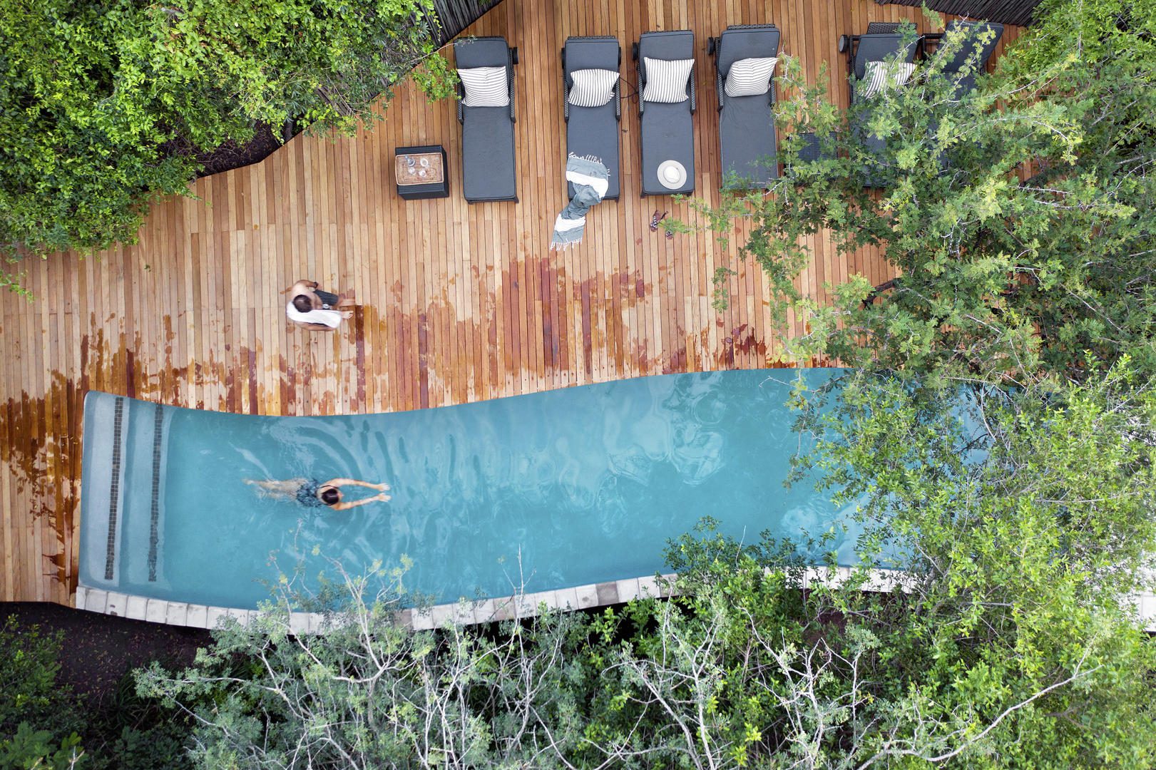 Londolozi Pioneer Camp - Sabi Sands Game Reserve - Kruger National Park 19 Londolozi Pioneer Camp Full length Lap pool