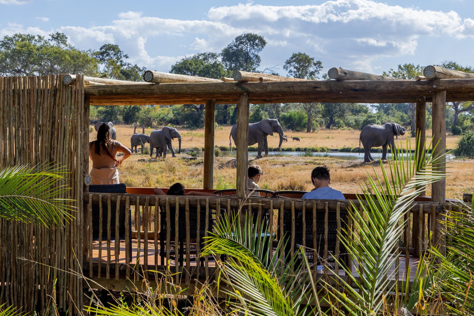 Sabi Sabi Bush Lodge - Sabi Sands Lodges Reservations - Sabi Sands Game Reserve 47 Loon s Lounge