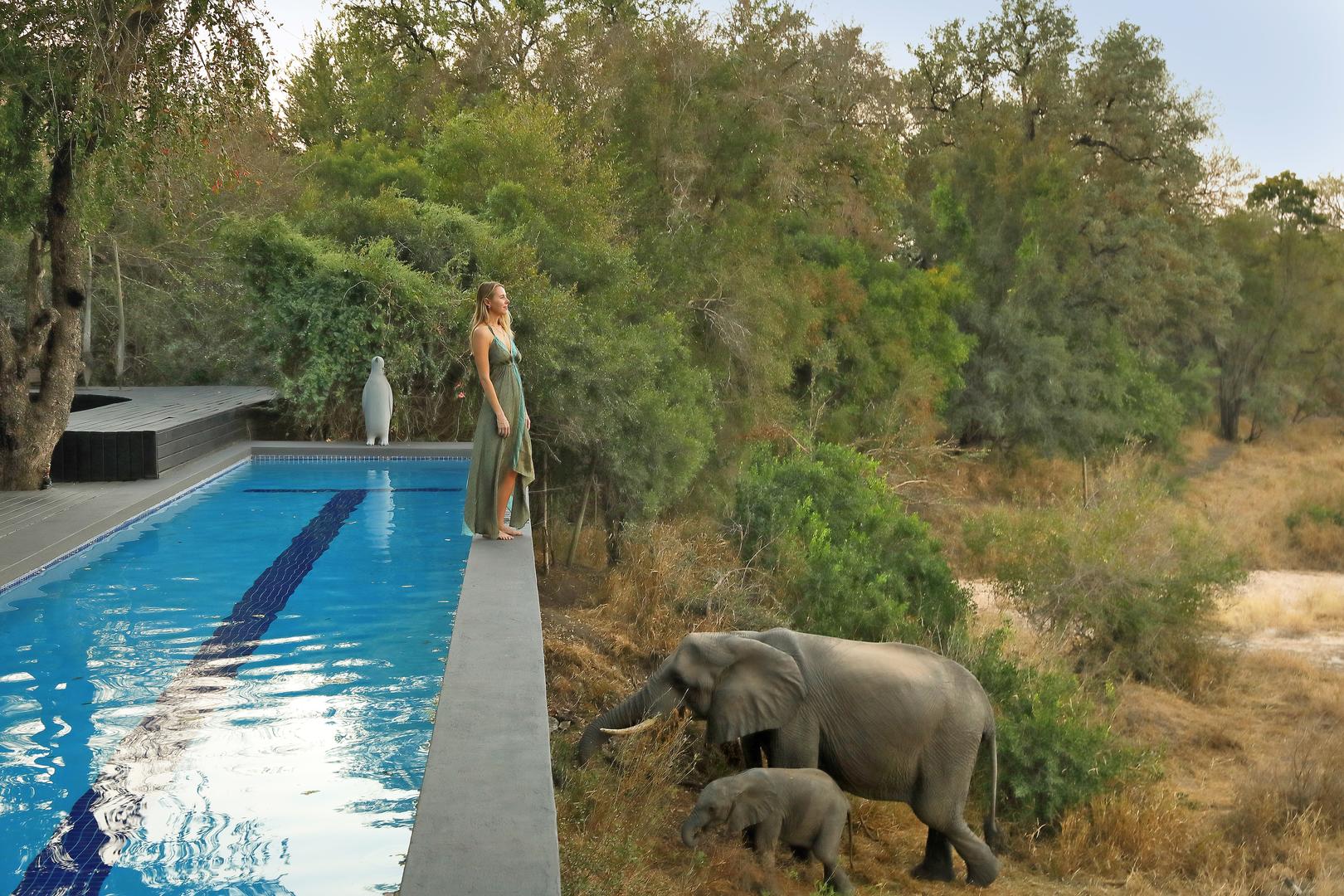 Silvan Safari Lodge - Sabi Sands Game Reserve - Sabi Sands Lodges Reservations - Bookings 78 Main Lodge